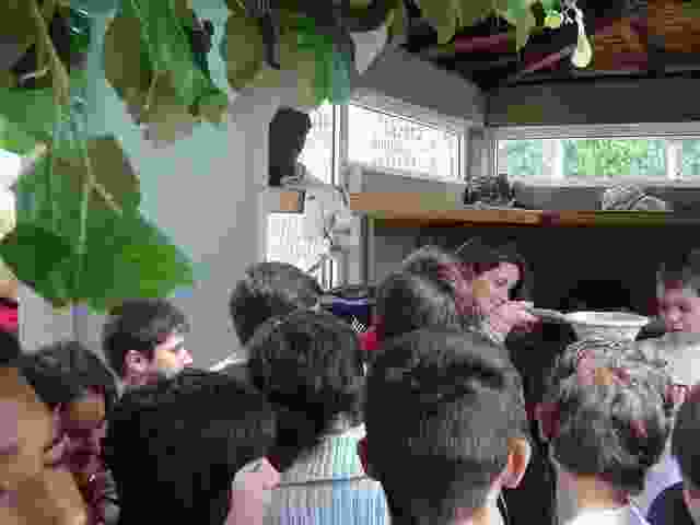 Enlarge Pierre_Buffiere_042.jpg