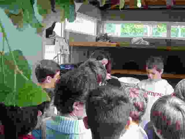 Enlarge Pierre_Buffiere_043.jpg