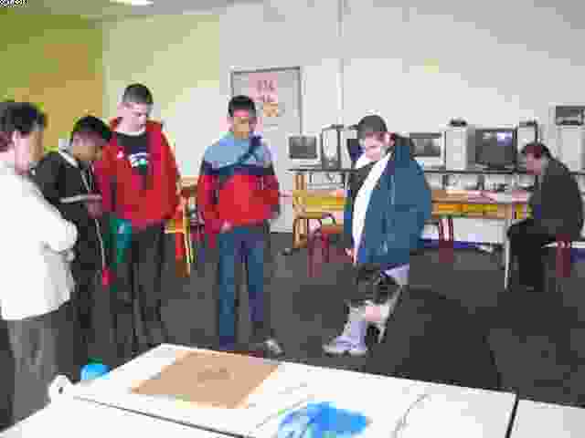 Enlarge IMG_1507.JPG