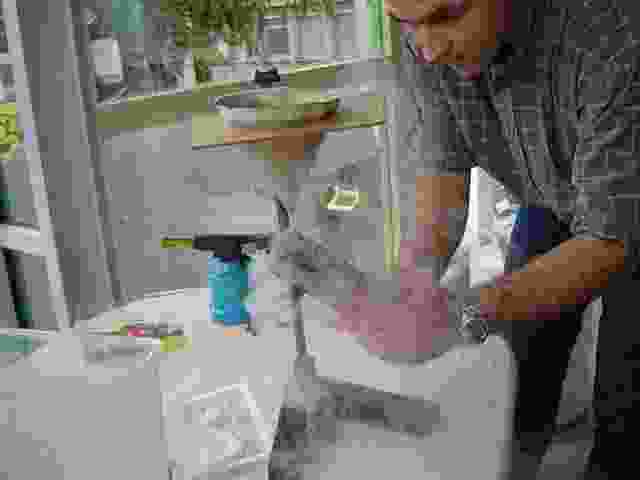 Enlarge Fete_sciences_06_0007.jpg