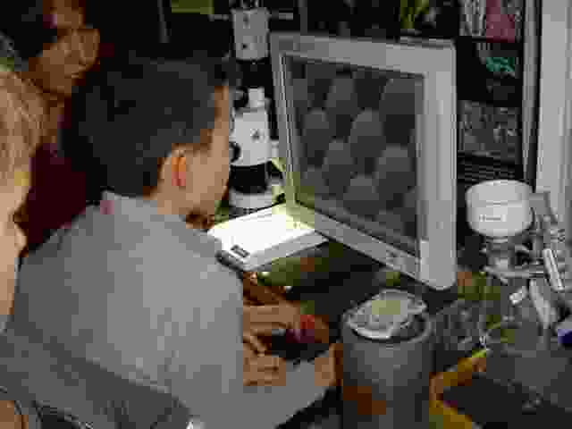 Enlarge Fete_sciences_06_0014.jpg