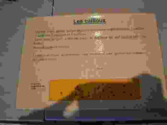 Enlarge Fete_sciences_06_0029.jpg