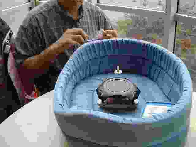 Enlarge Fete_sciences_06_0032.jpg