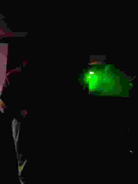 Enlarge beaulieu017.jpg