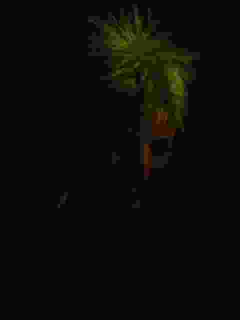 Enlarge beaulieu026.jpg