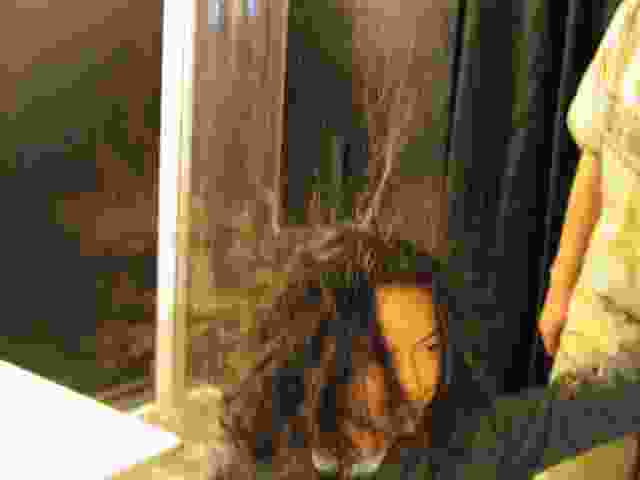 Enlarge bellac040.jpg