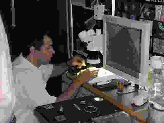 Enlarge bellac048.jpg