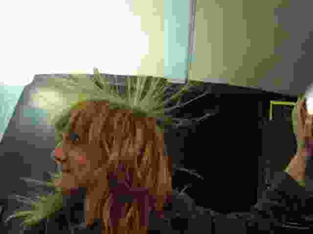 Enlarge bellac050.jpg