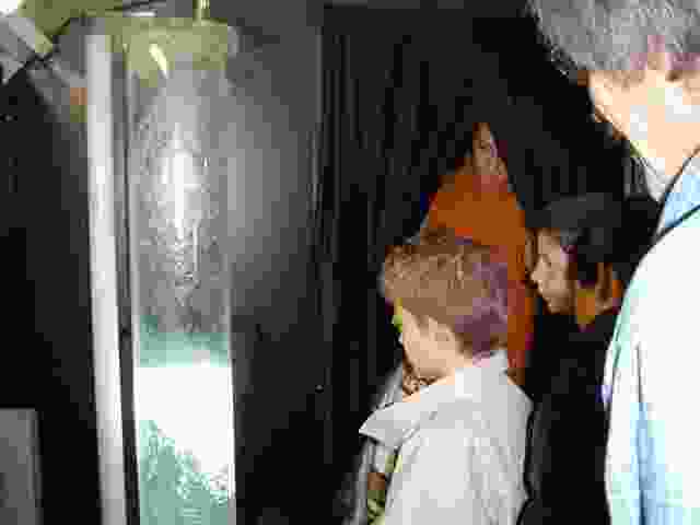 Enlarge Neuvic_18.JPG