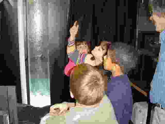 Enlarge Neuvic_36.JPG