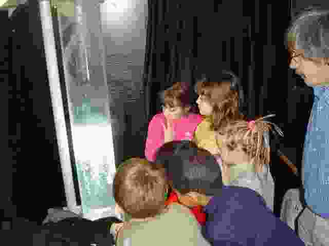 Enlarge Neuvic_37.JPG