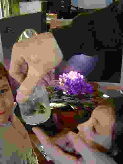 Enlarge Neuvic_70.JPG