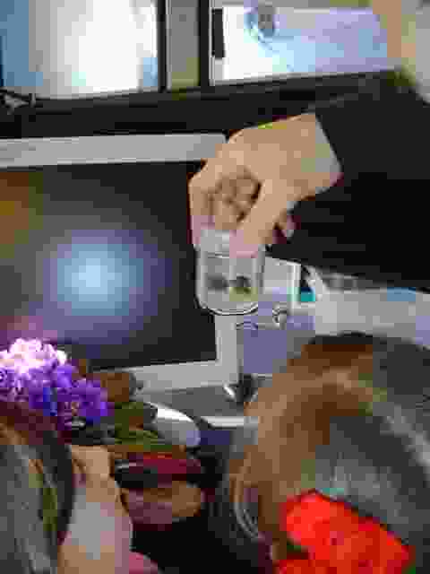 Enlarge Neuvic_71.JPG