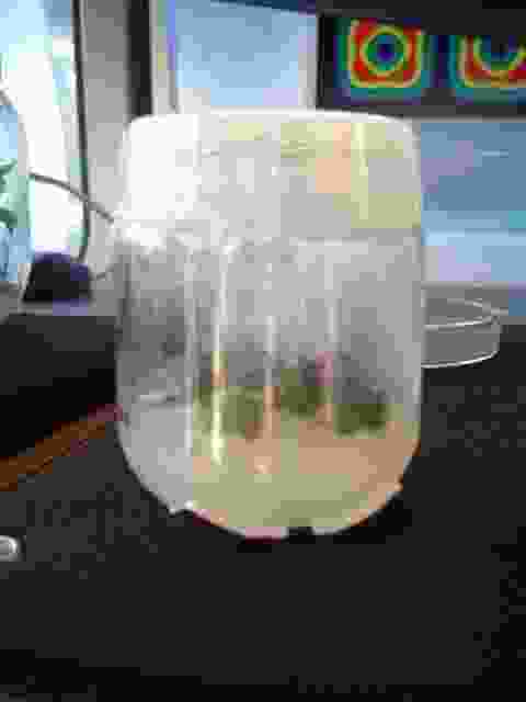 Enlarge Neuvic_74.JPG