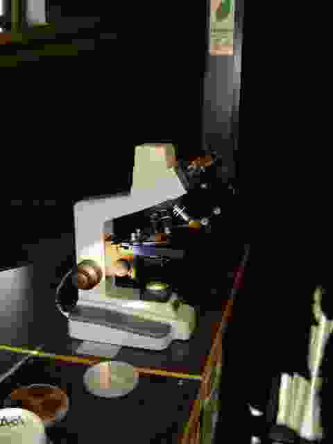 Enlarge Neuvic_76.JPG