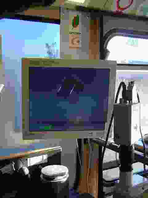 Enlarge Neuvic_77.JPG