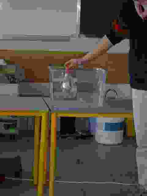 Enlarge Neuvic_79.JPG