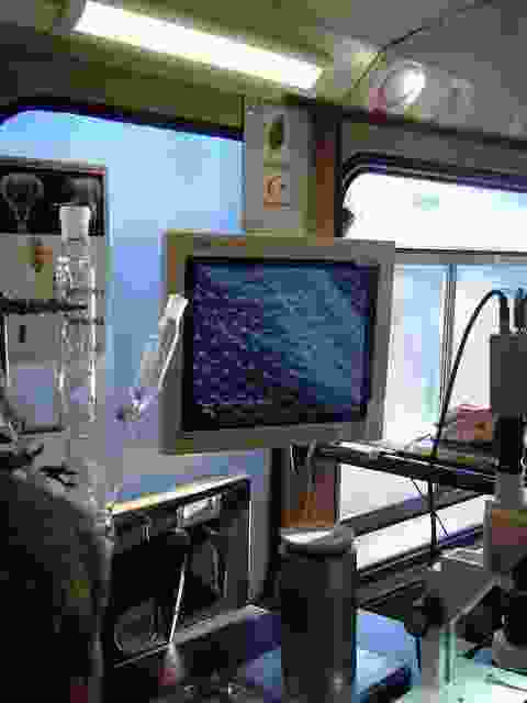 Enlarge Neuvic_100.JPG