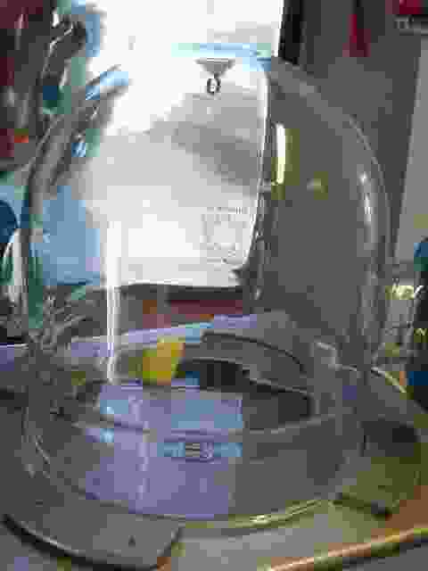 Enlarge Neuvic_81.JPG