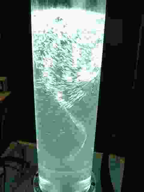 Enlarge Neuvic_89.JPG