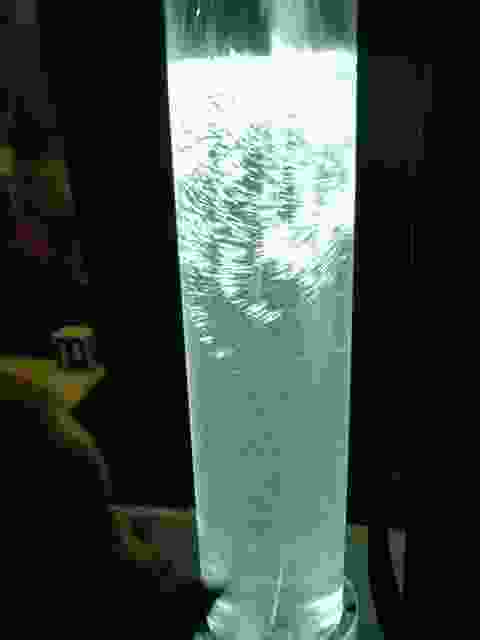 Enlarge Neuvic_90.JPG