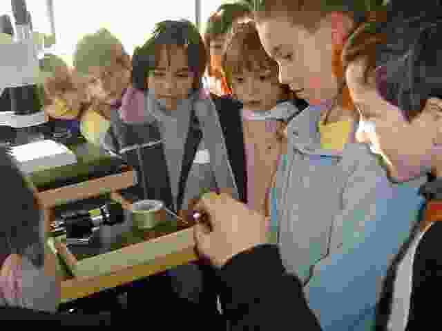 Enlarge Neuvic_114.JPG