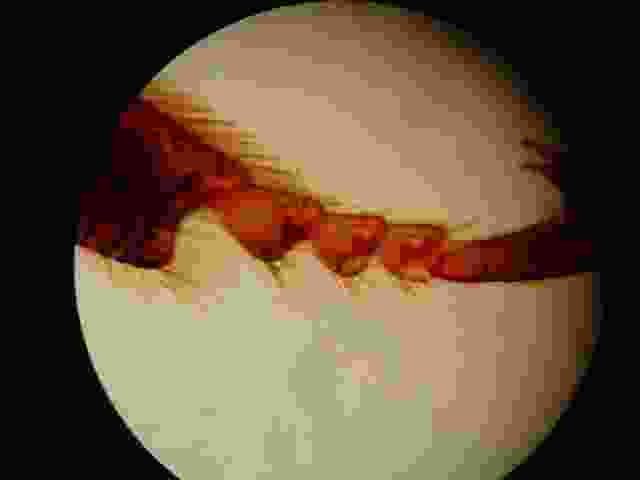 Enlarge Neuvic_128.JPG