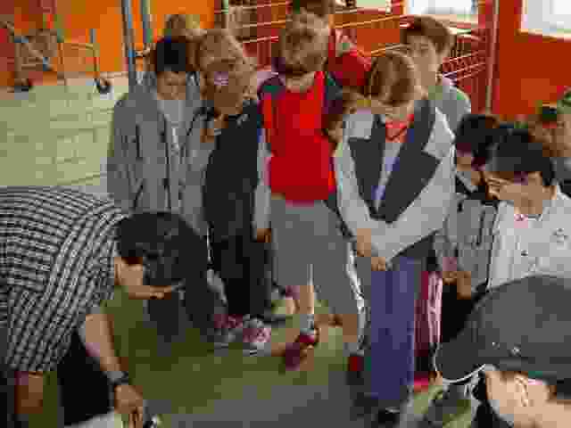 Enlarge Eymoutiers_32.JPG