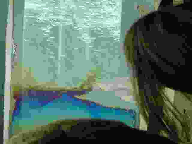 Enlarge Eymoutiers_37.JPG