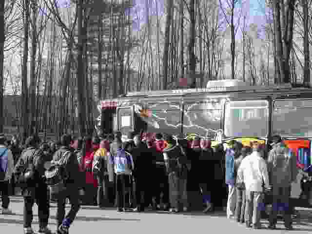 Enlarge Firmin_Roz_010.jpg