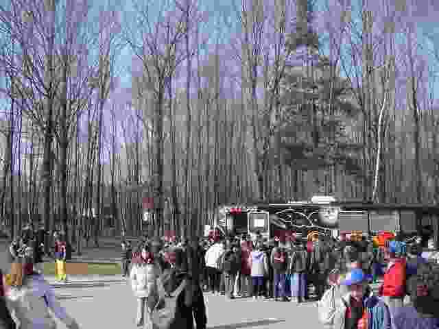 Enlarge Firmin_Roz_011.jpg