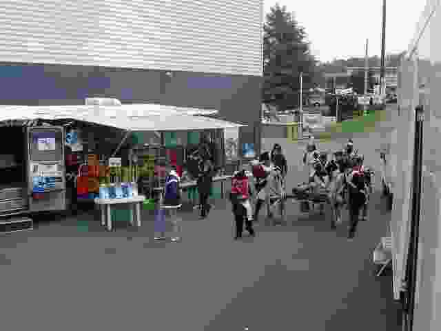 Enlarge foire_expo_2_002.jpg