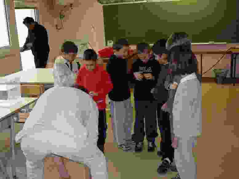 Enlarge DSC00461.JPG