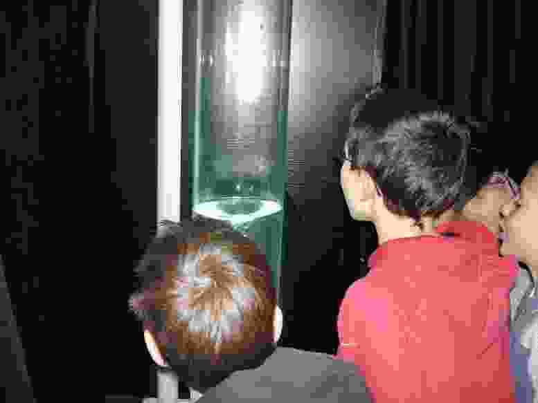 Enlarge DSC00481.JPG