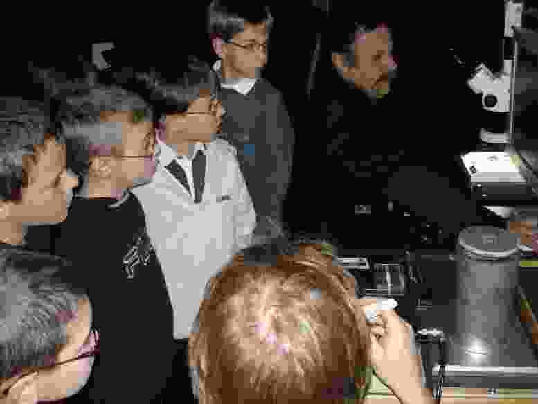 Enlarge DSC00483.JPG