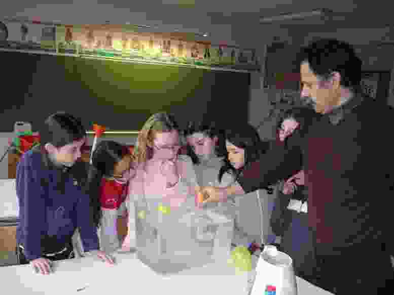 Enlarge DSC00507.JPG