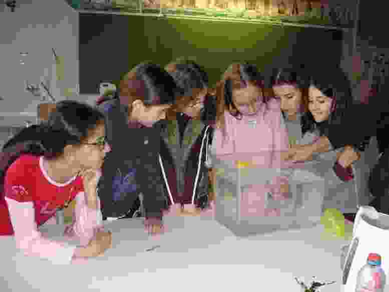 Enlarge DSC00508.JPG