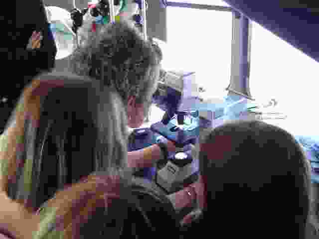 Enlarge La_Porcherie_16.JPG