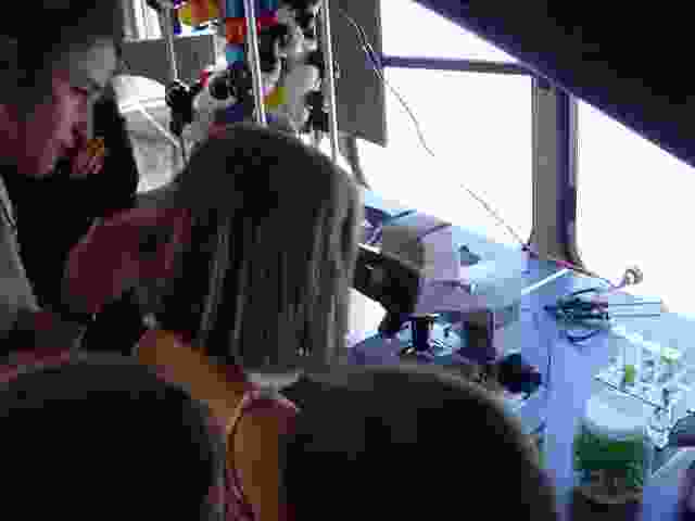 Enlarge La_Porcherie_17.JPG