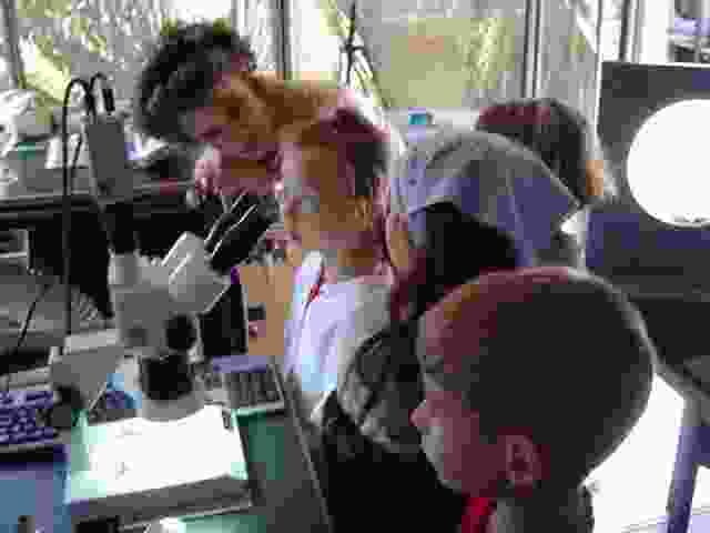 Enlarge La_Porcherie_22.JPG