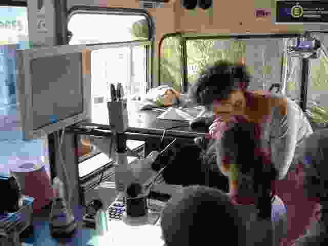 Enlarge La_Porcherie_23.JPG