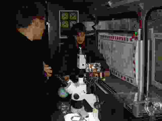 Enlarge Maurois_31.JPG