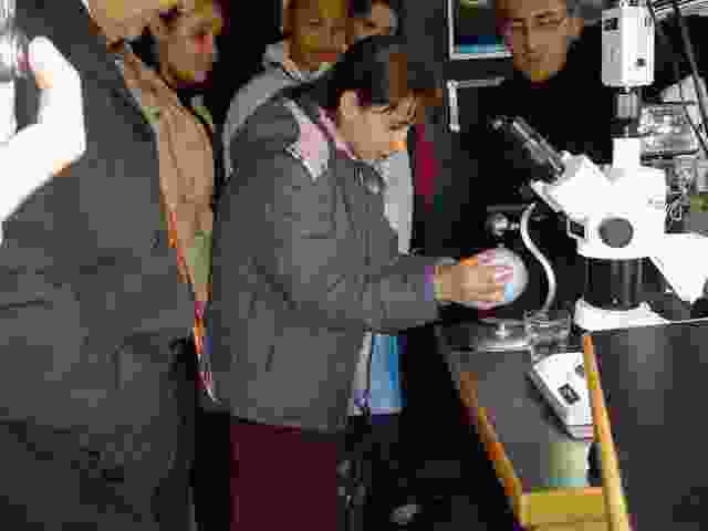 Enlarge Maurois_34.JPG