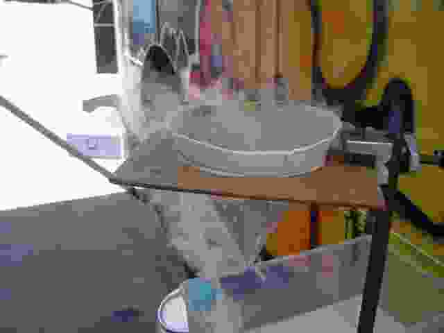 Enlarge nexon013.jpg