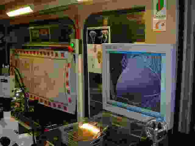 Enlarge oeil_de_la_mouche.jpg