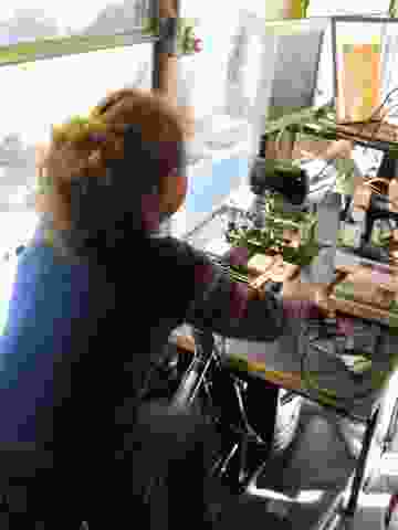 Enlarge velojoules.jpg