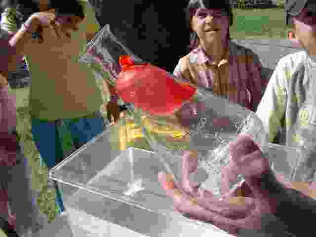 Enlarge solignac001.jpg