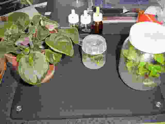 Enlarge solignac022.jpg