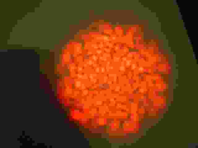 Enlarge solignac028.jpg