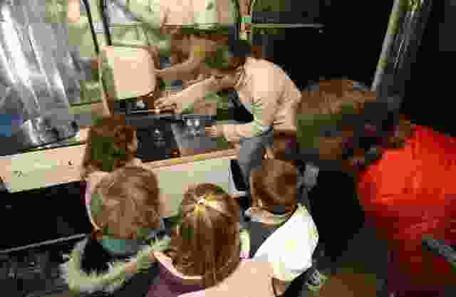 Enlarge StAuvent009.jpg